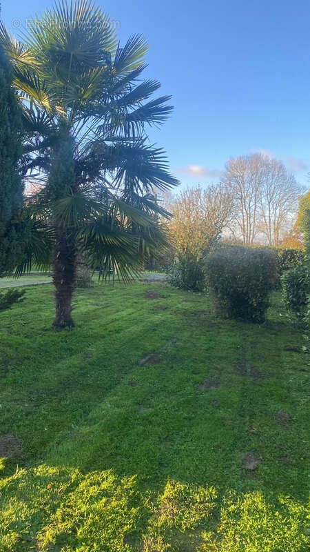 Maison à SAINT-MARTIN-DE-JUSSAC