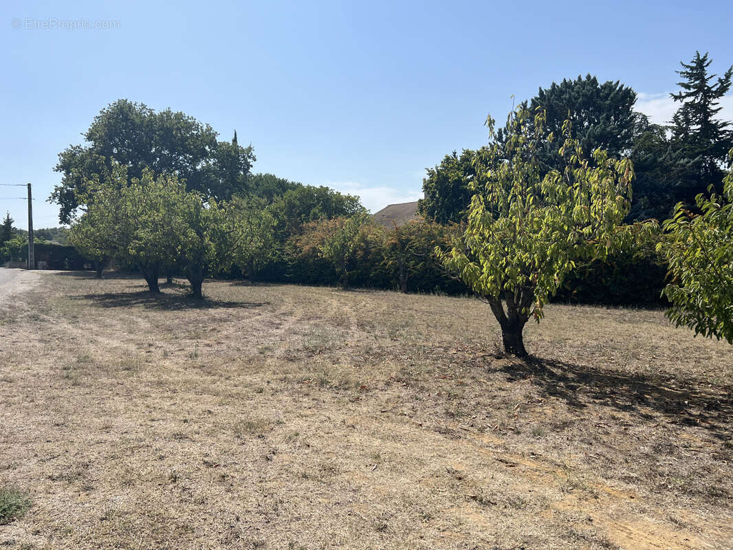 Terrain à SAINT-PAULET-DE-CAISSON