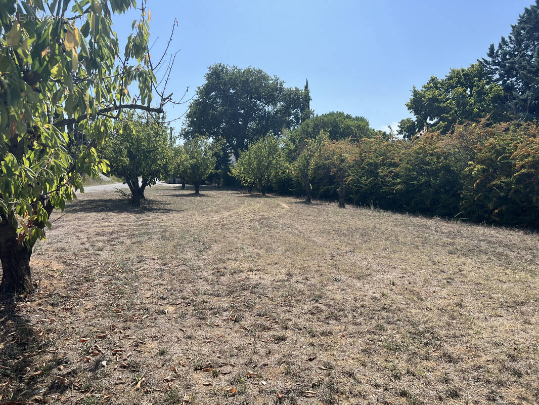 Terrain à SAINT-PAULET-DE-CAISSON