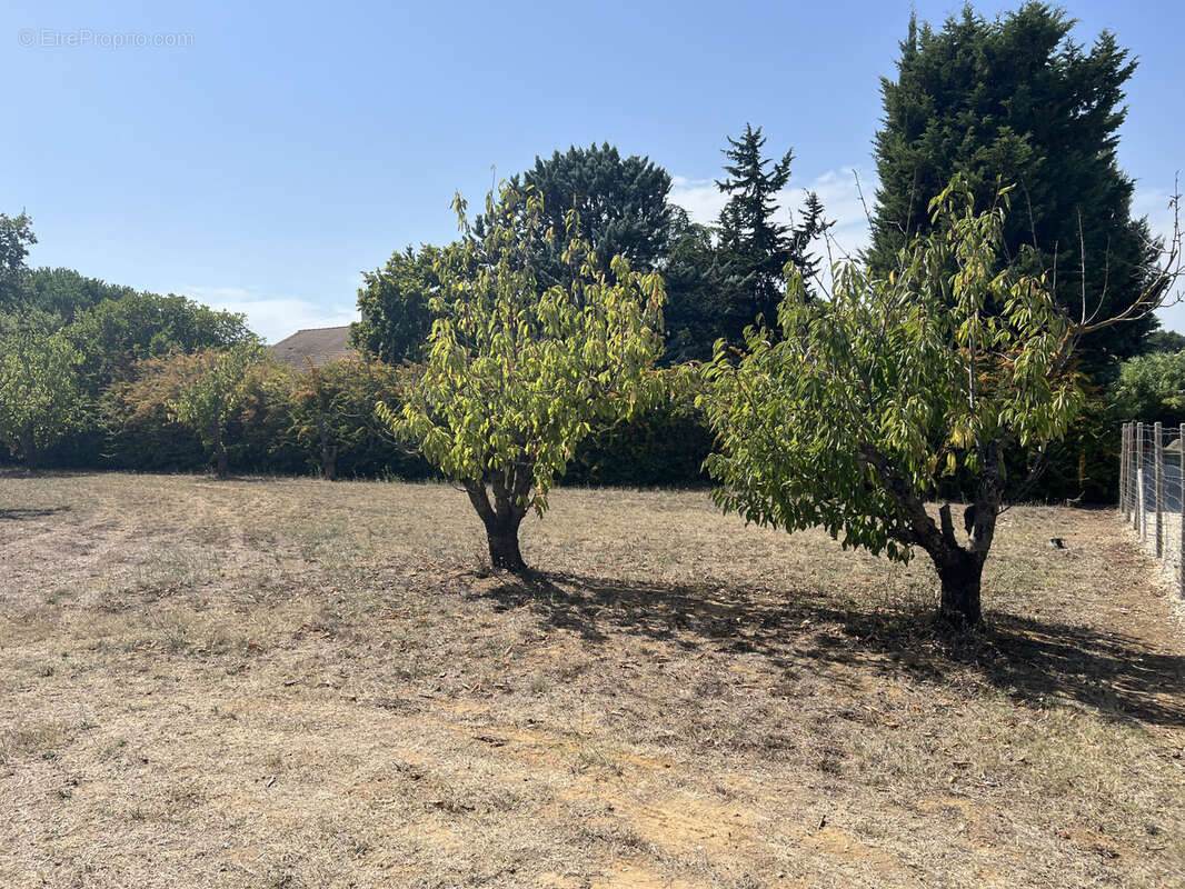 Terrain à SAINT-PAULET-DE-CAISSON