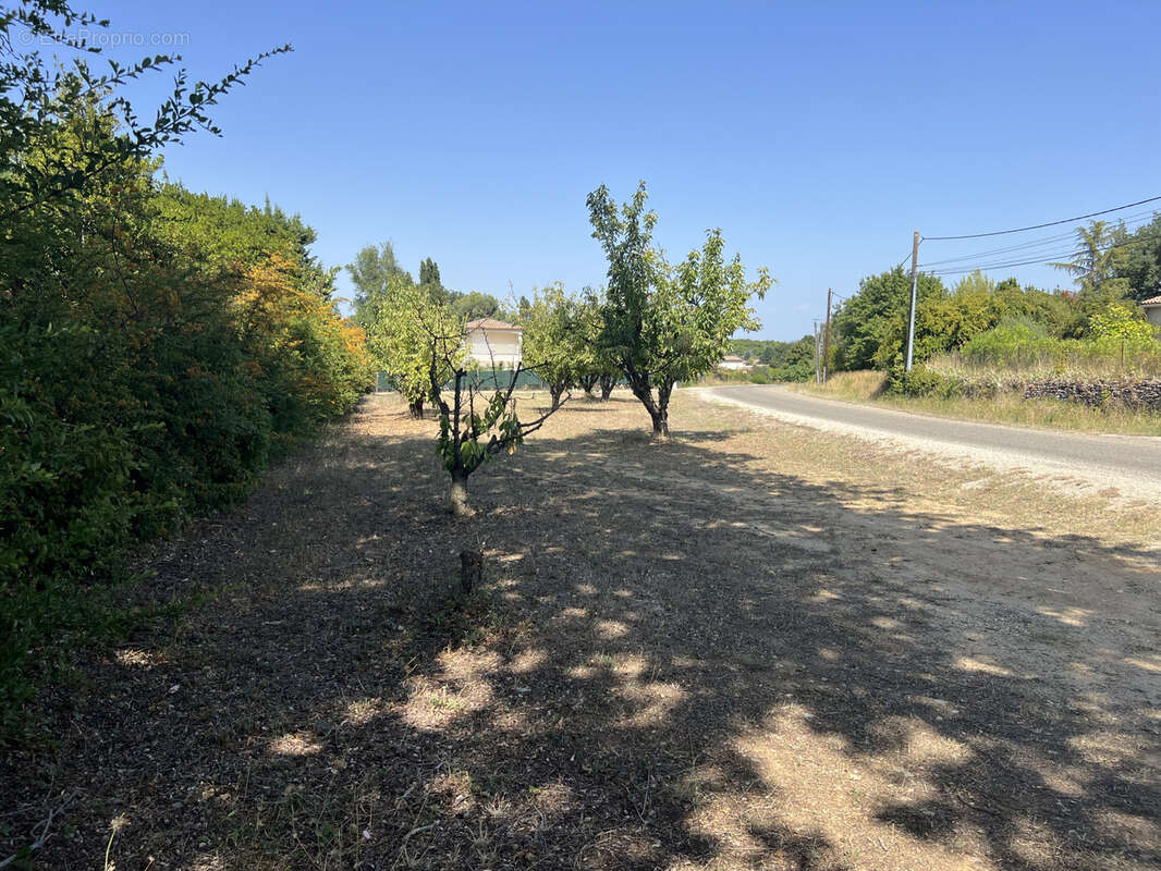 Terrain à SAINT-PAULET-DE-CAISSON