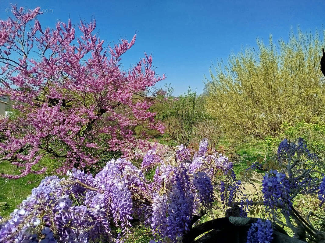 Maison à LAMOTHE-MONTRAVEL