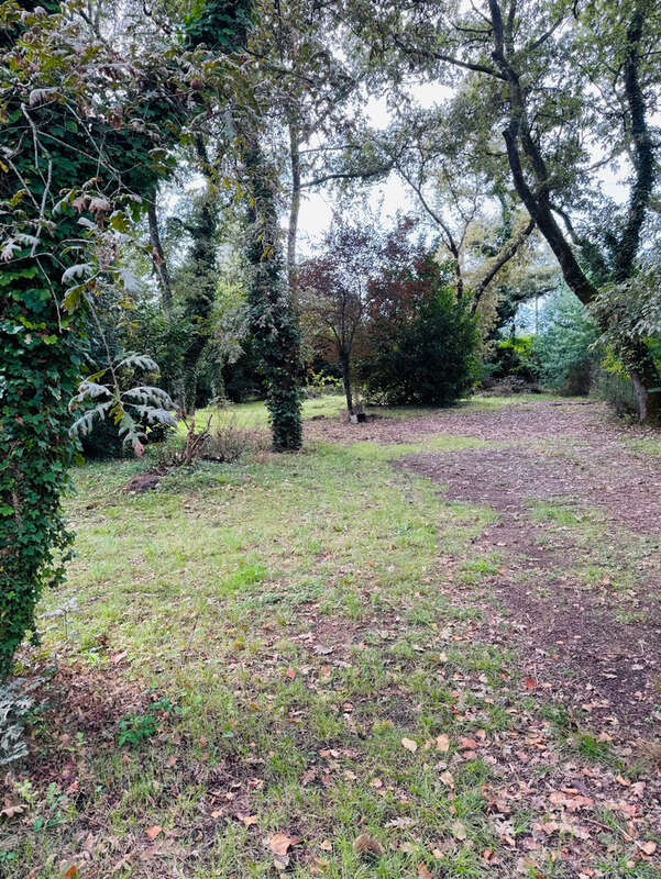 Maison à MONT-DE-MARSAN