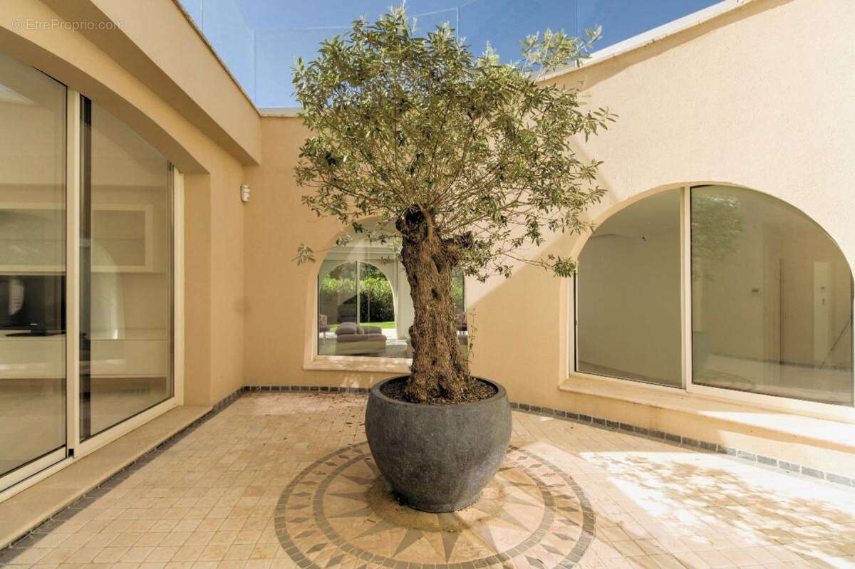 Maison à MOUANS-SARTOUX