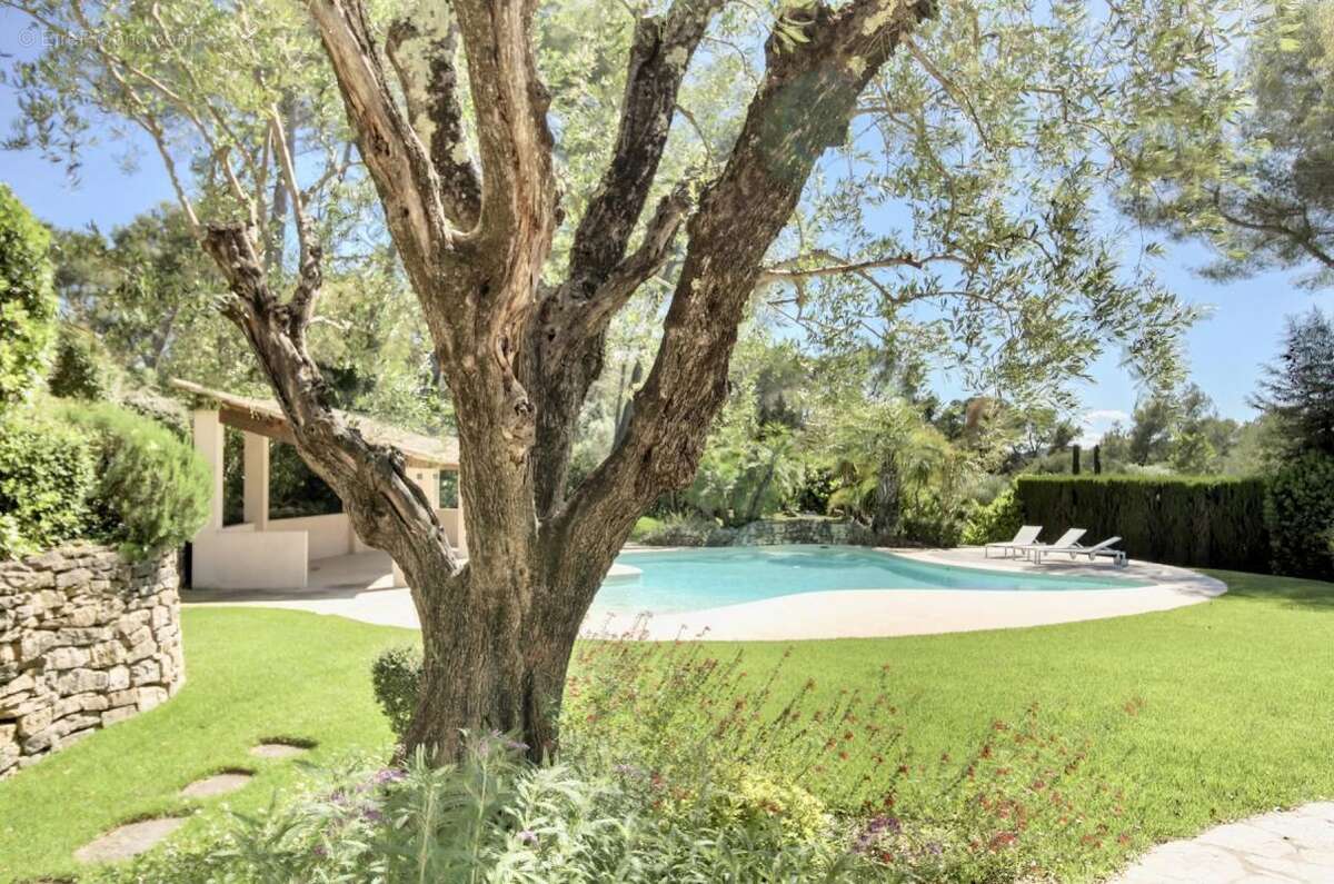 Maison à MOUANS-SARTOUX