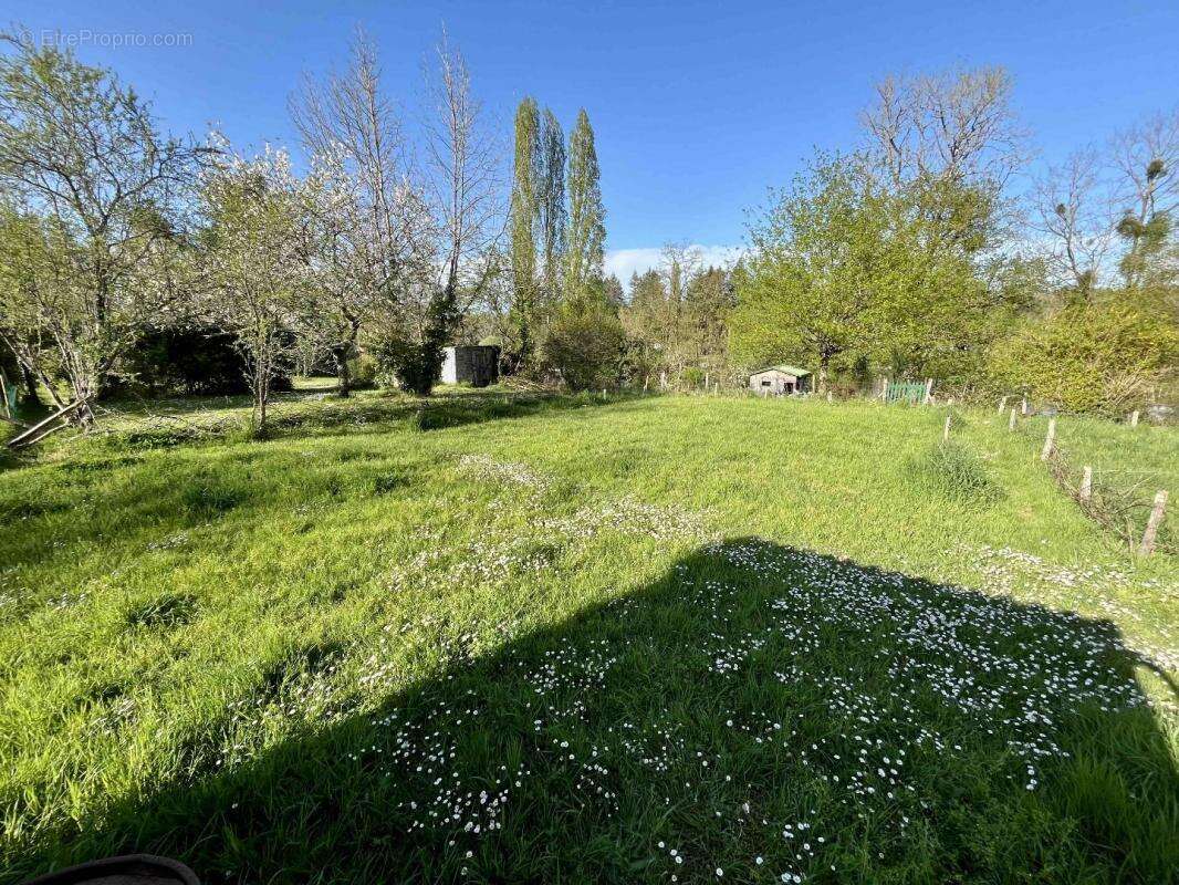 Maison à AVAILLES-LIMOUZINE