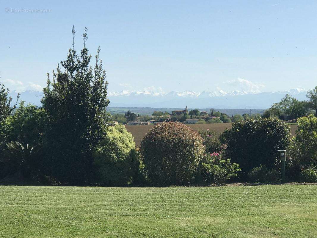 Maison à MONTGAILLARD-LAURAGAIS