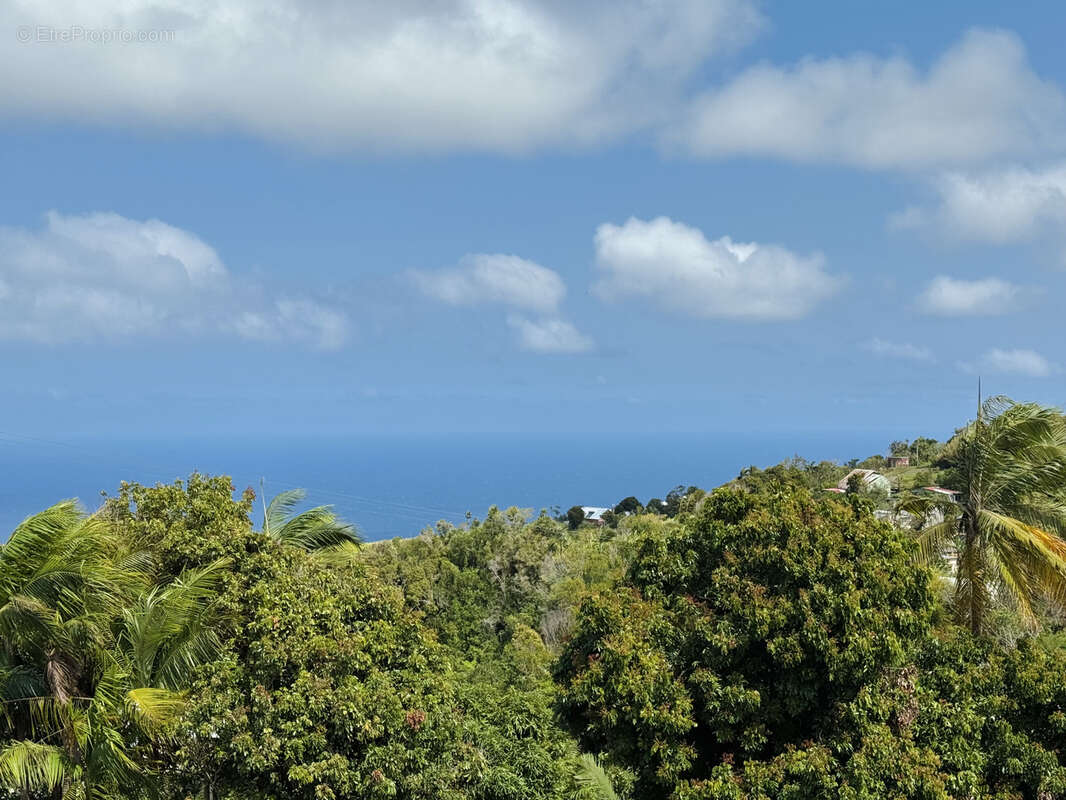 Maison à PETITE-ILE