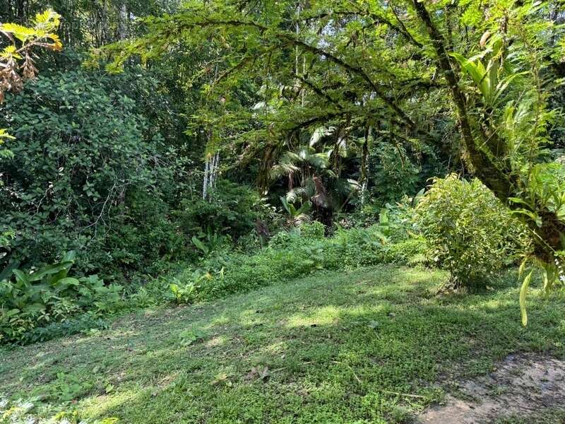 Maison à SAINT-LAURENT-DU-MARONI