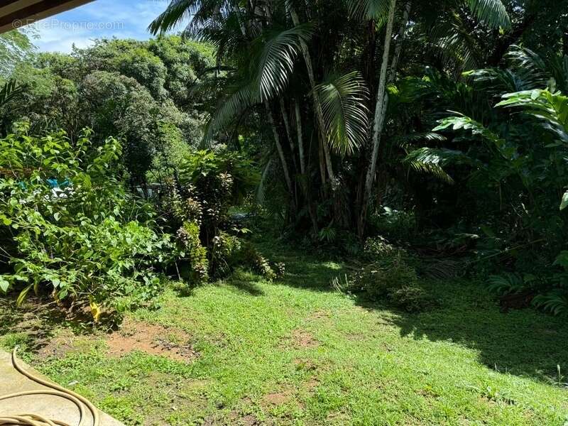 Maison à SAINT-LAURENT-DU-MARONI