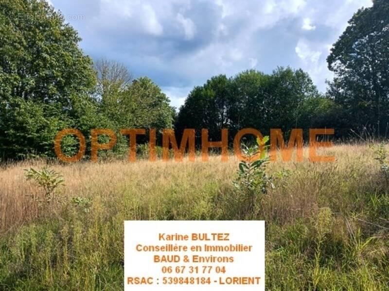 Terrain à BAUD