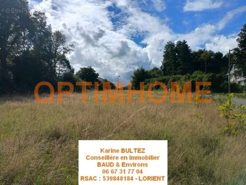 Terrain à BAUD