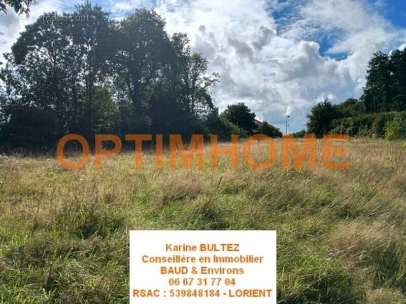 Terrain à BAUD
