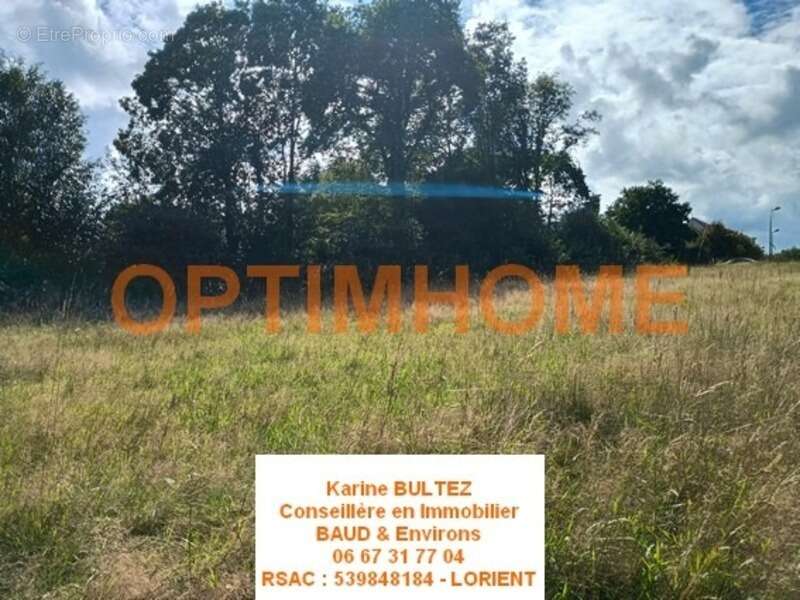 Terrain à BAUD