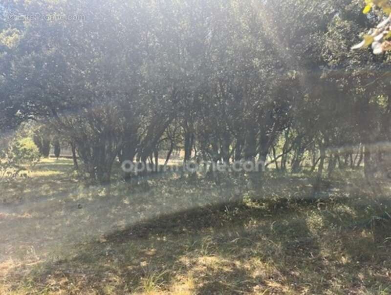 Terrain à BOURG-SAINT-ANDEOL