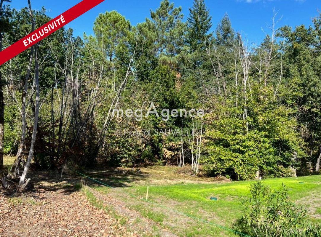 Terrain à TRELISSAC