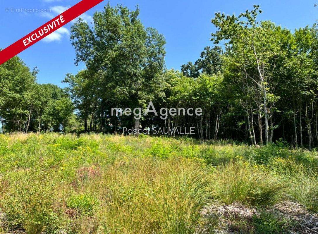 Terrain à VILLAMBLARD