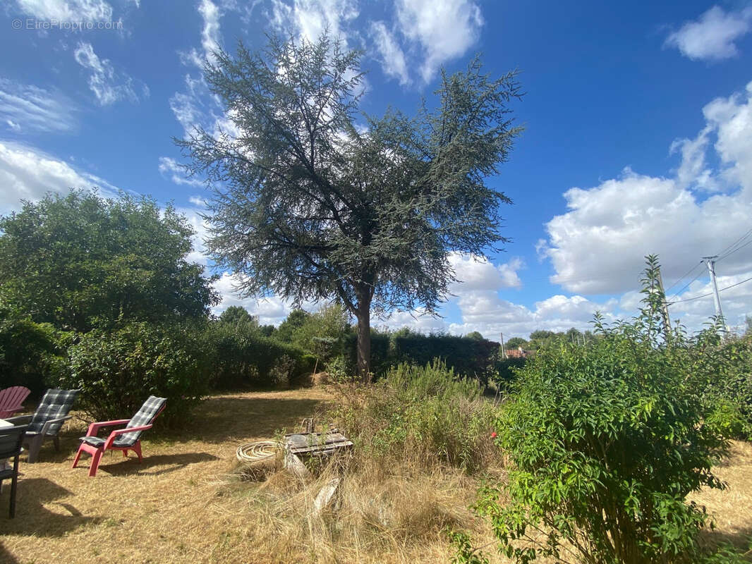 Maison à SAINT-JEAN-DU-BOIS