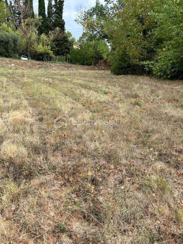 Terrain à LE TIGNET