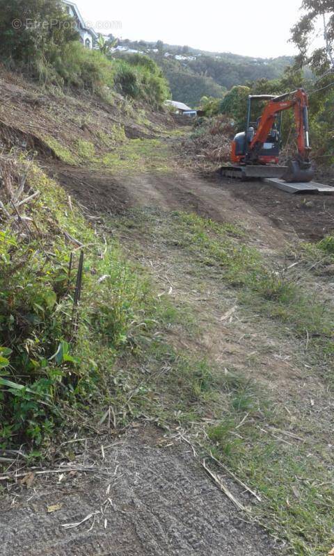 Terrain à SAINTE-MARIE