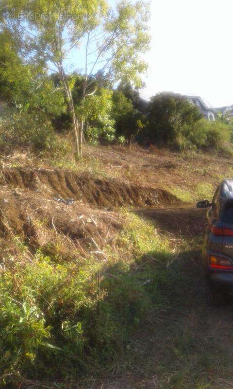 Terrain à SAINTE-MARIE