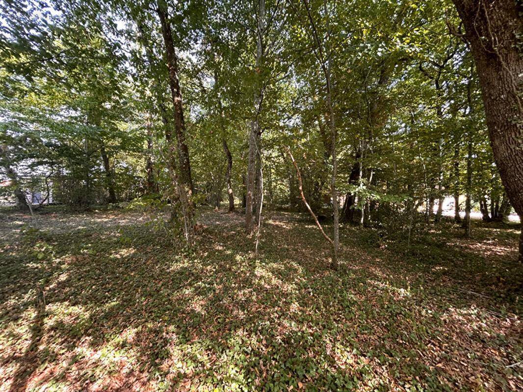 Terrain à MARSAC-SUR-L&#039;ISLE