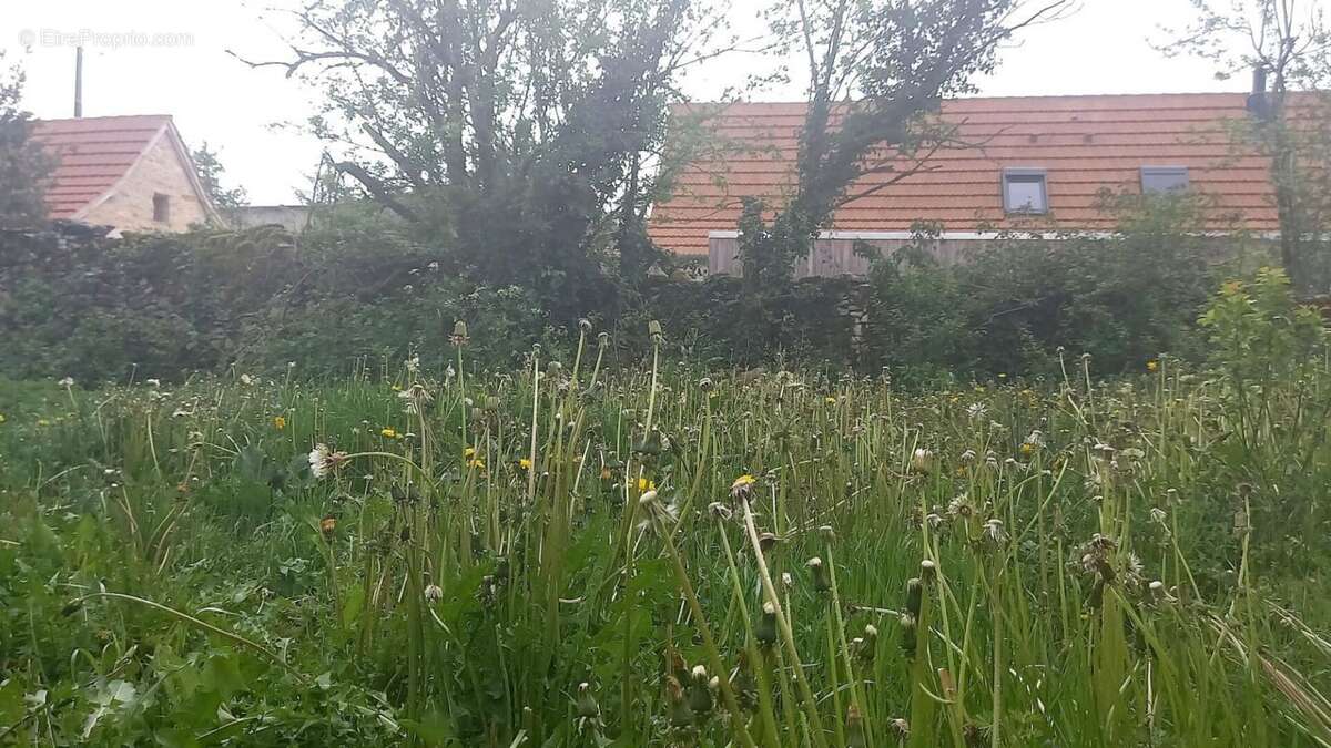 Maison à LIMOGNE-EN-QUERCY