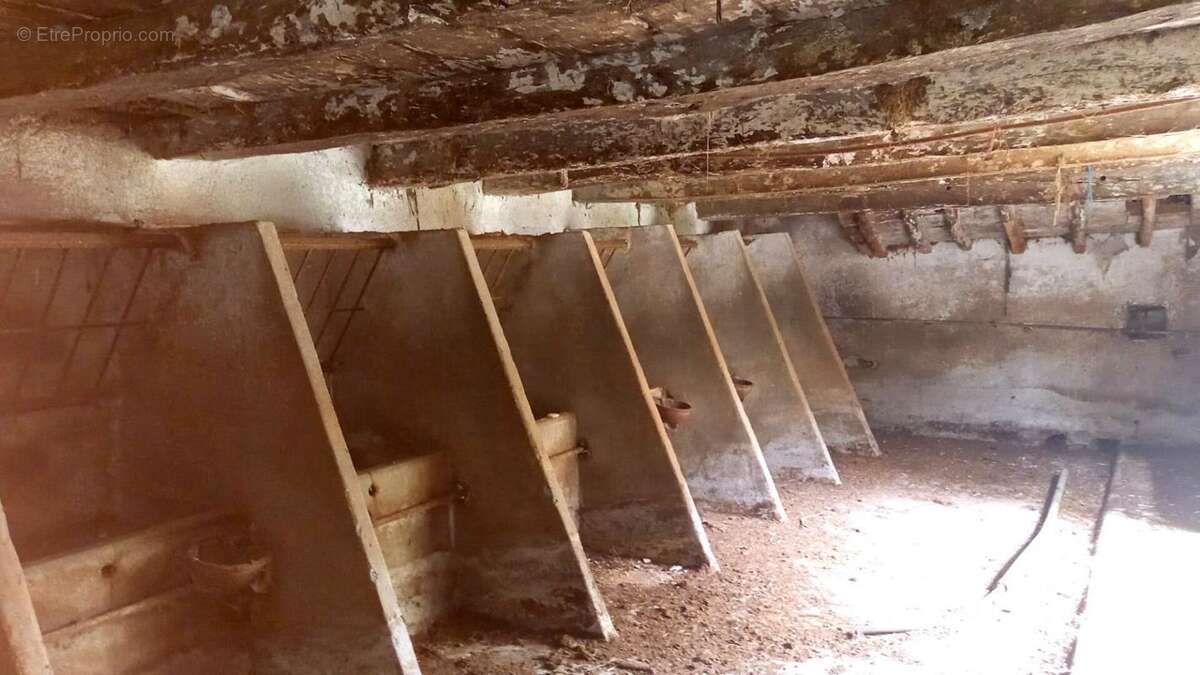 Maison à LIMOGNE-EN-QUERCY