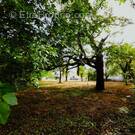 Terrain à SAINT-JULIEN-L&#039;ARS