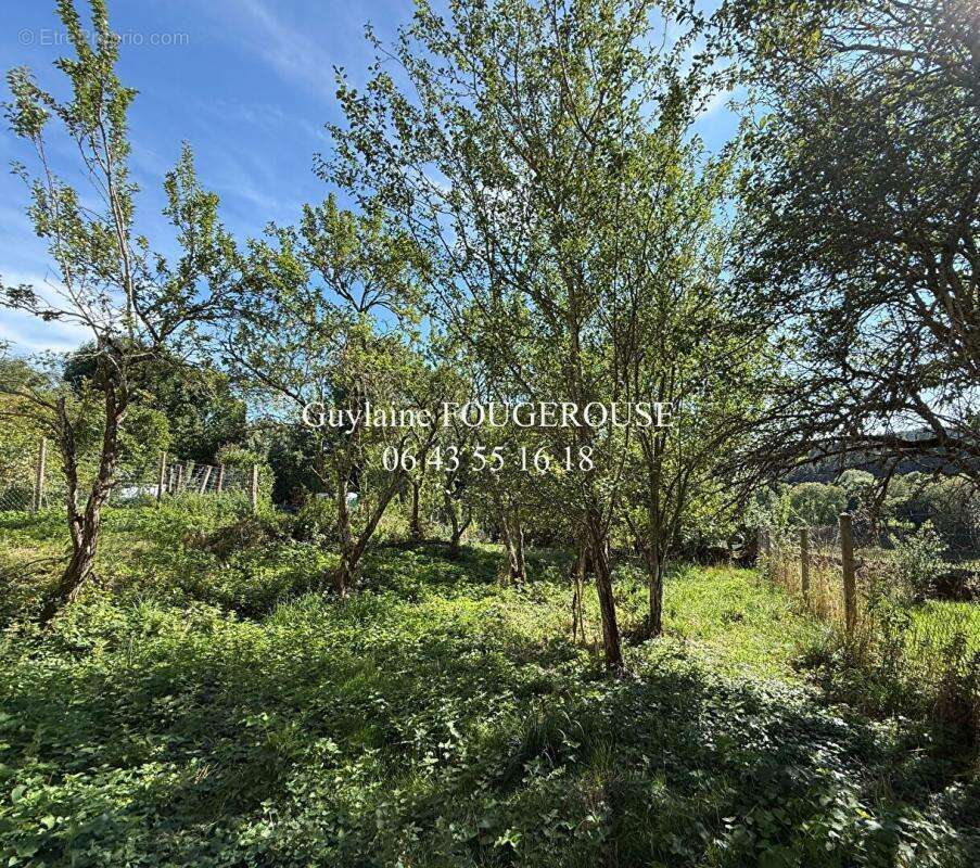 Maison à LA CHAPELLE-EN-LAFAYE