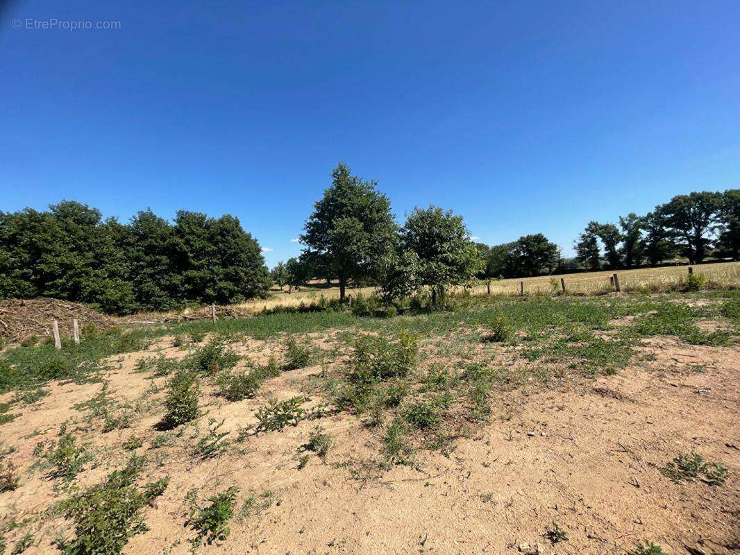 Maison à SAINT-LEGER-LES-PARAY