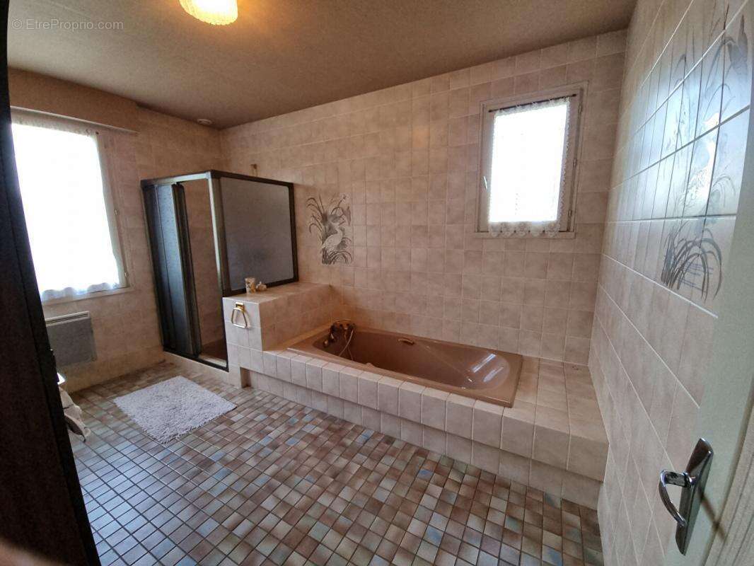 Maison à OUZOUER-SUR-LOIRE