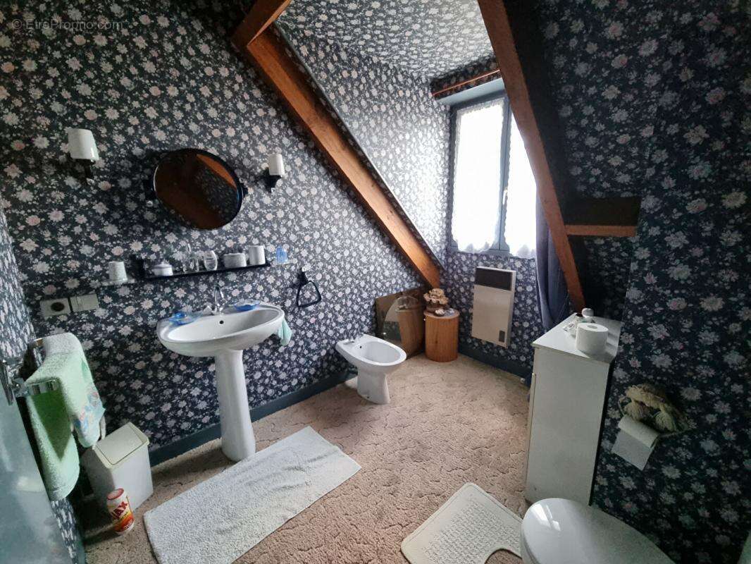 Maison à OUZOUER-SUR-LOIRE