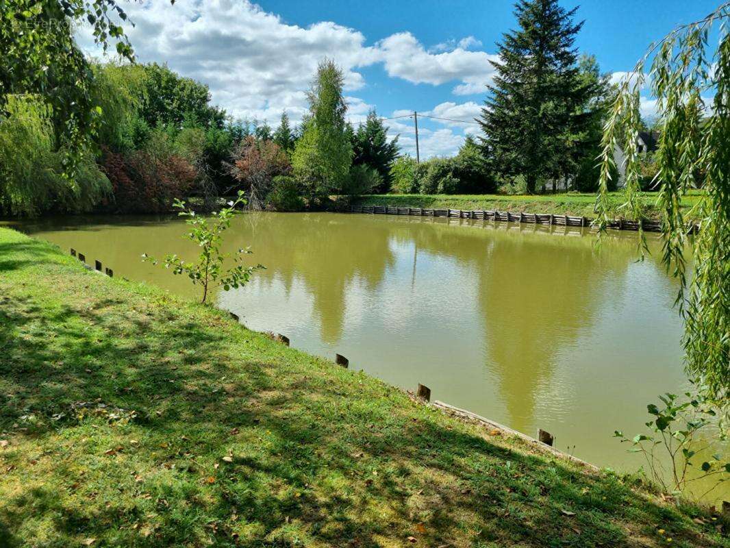 Maison à OUZOUER-SUR-LOIRE