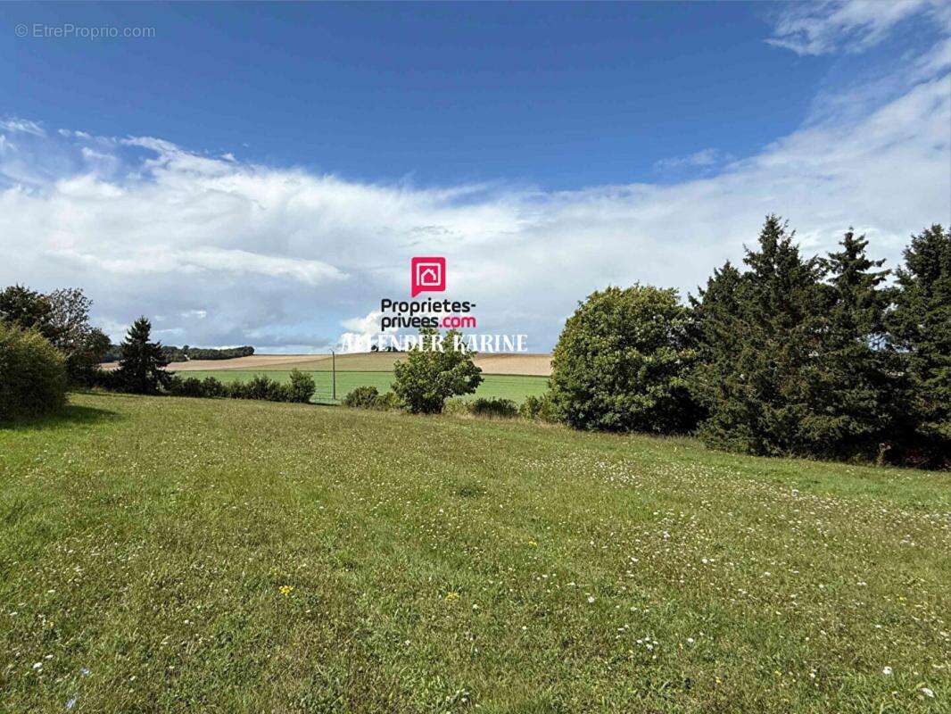 Maison à VILLENEUVE-L&#039;ARCHEVEQUE