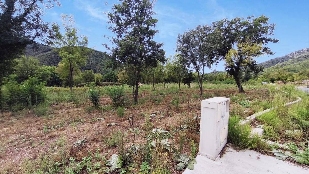 Terrain à COLOMBIERES-SUR-ORB