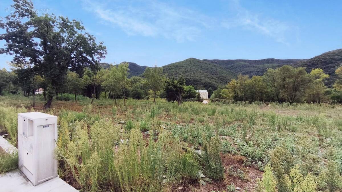 Terrain à COLOMBIERES-SUR-ORB