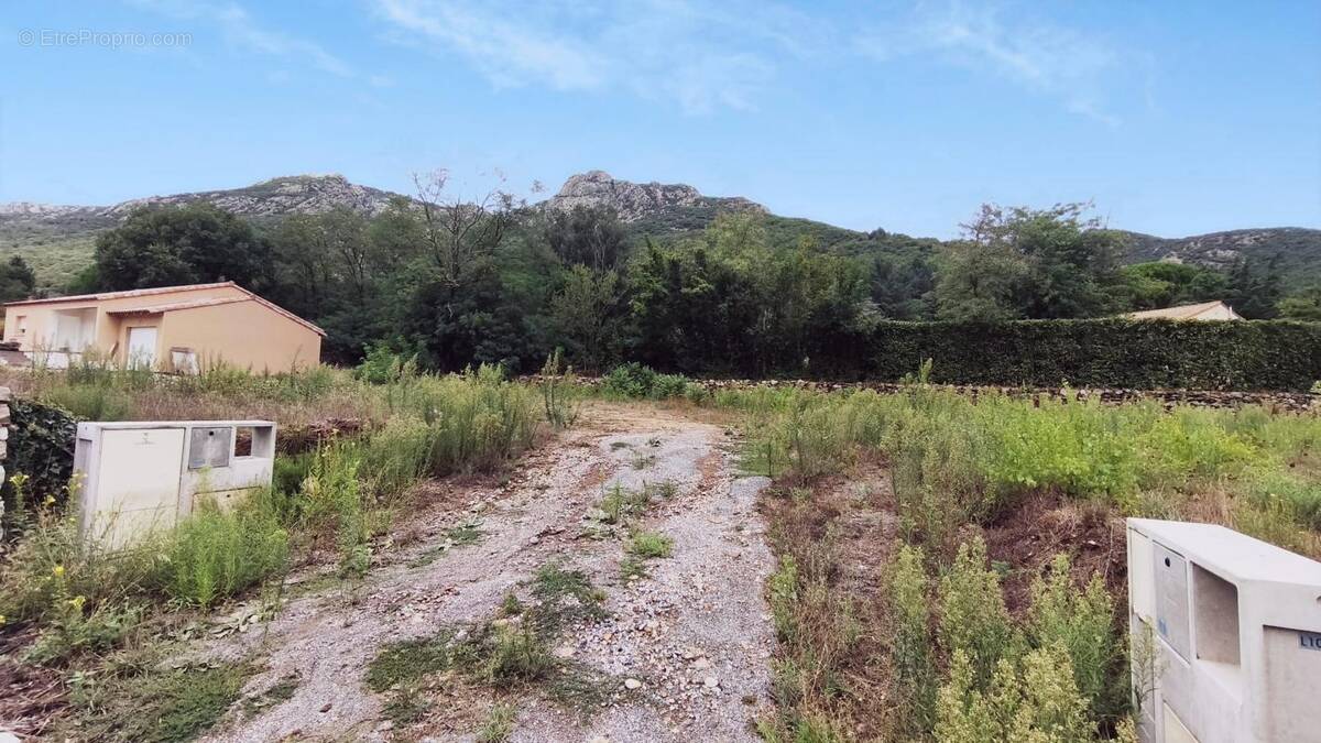 Terrain à COLOMBIERES-SUR-ORB