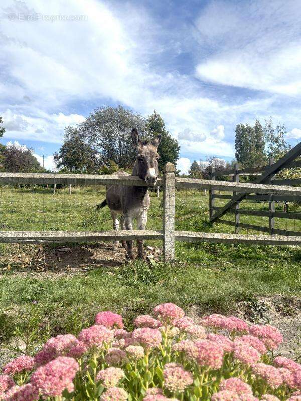 Maison à TORIGNI-SUR-VIRE