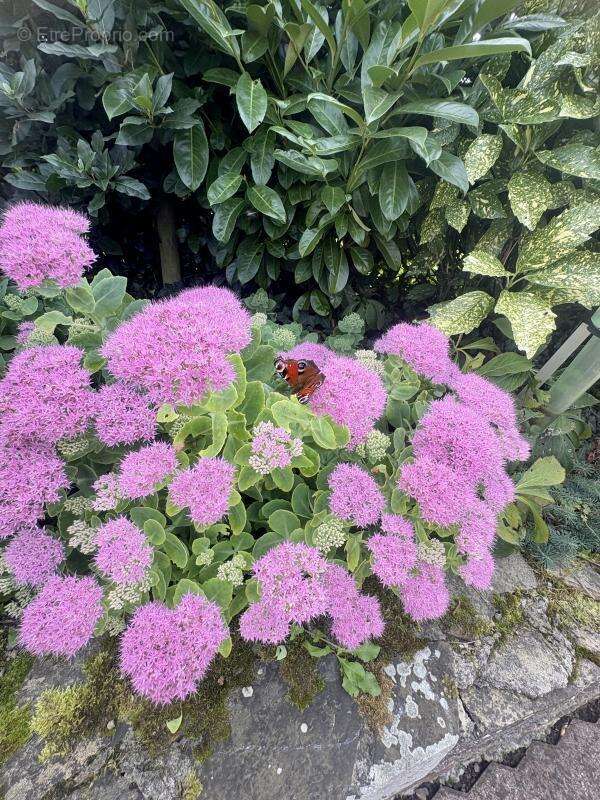 Maison à TORIGNI-SUR-VIRE