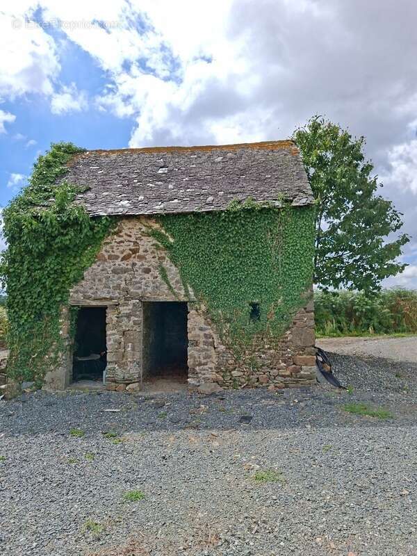 Terrain à VILLAINES-LA-JUHEL