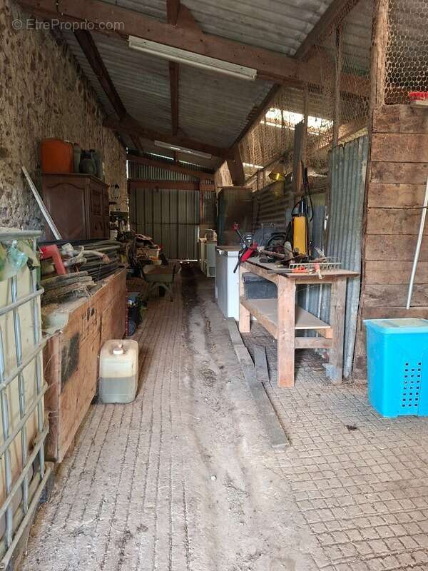 Terrain à VILLAINES-LA-JUHEL