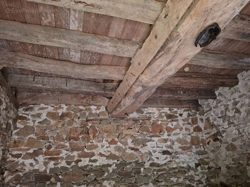 Terrain à VILLAINES-LA-JUHEL