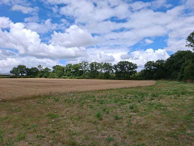 Maison à VILLAINES-LA-JUHEL