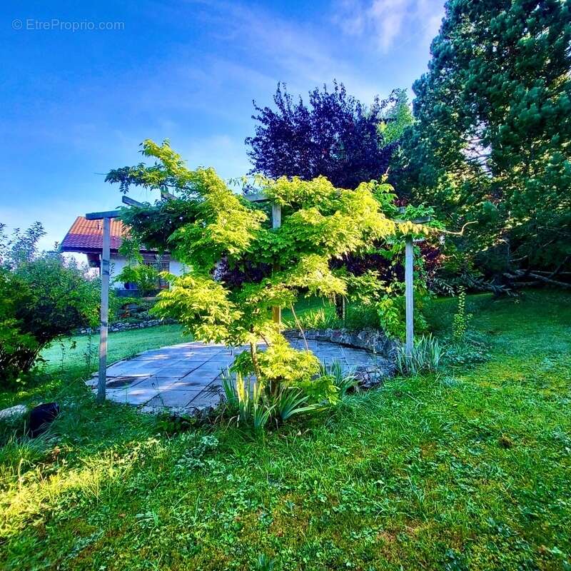 Maison à SAINT-PAUL-EN-CHABLAIS