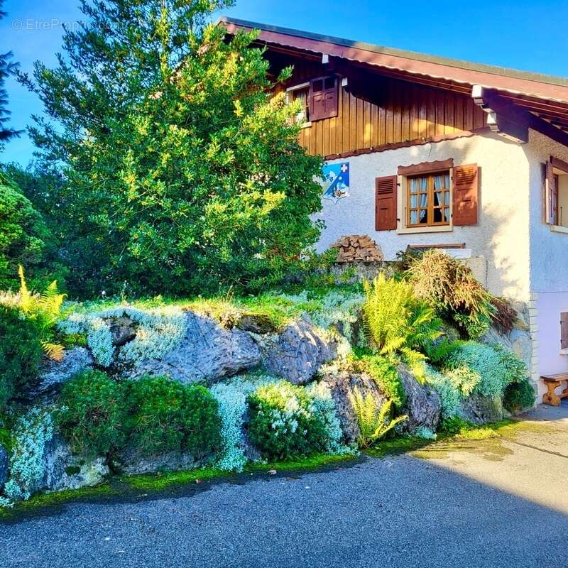 Maison à SAINT-PAUL-EN-CHABLAIS