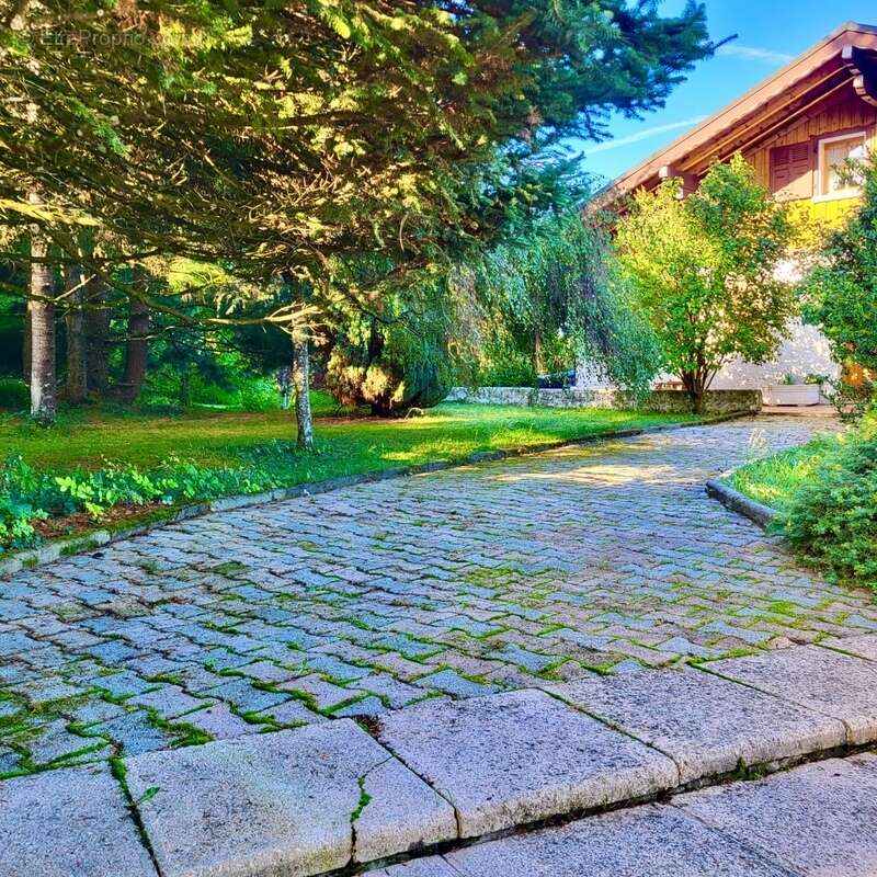 Maison à SAINT-PAUL-EN-CHABLAIS