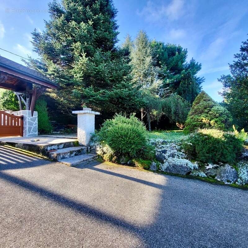 Maison à SAINT-PAUL-EN-CHABLAIS