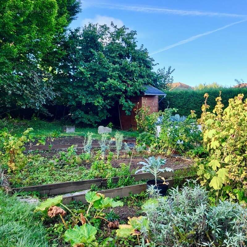 Maison à SAINT-PAUL-EN-CHABLAIS