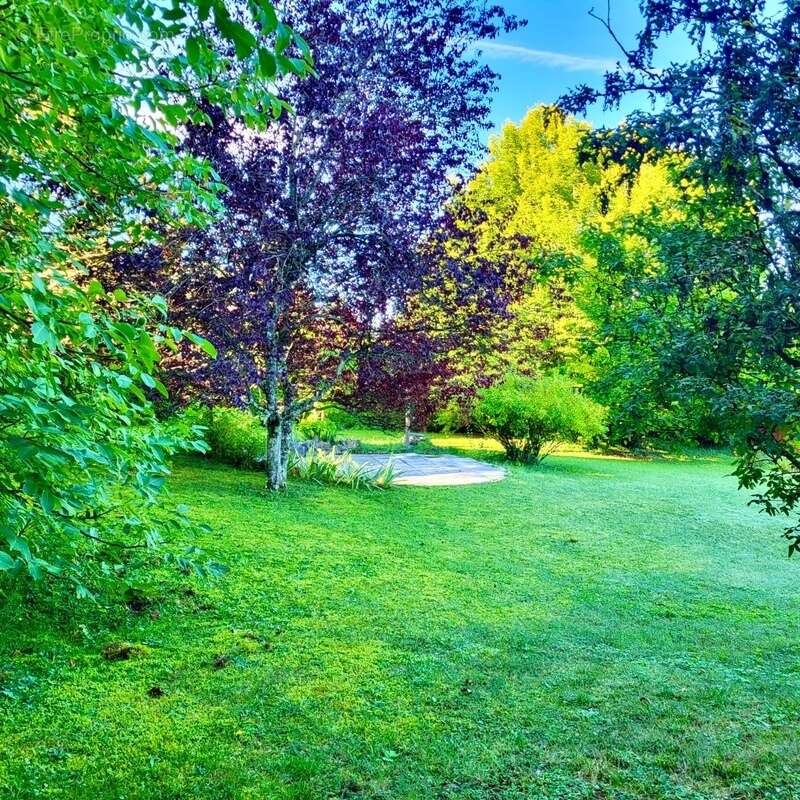 Maison à SAINT-PAUL-EN-CHABLAIS